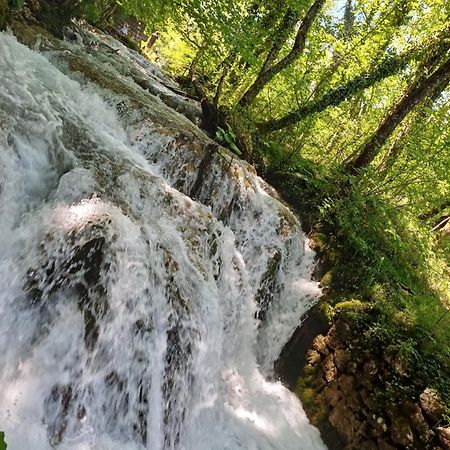 Villa Dobra Plitvicka Jezera Bagian luar foto